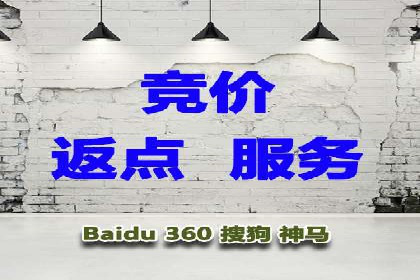 案例对比：不同竞价广告平台的优劣